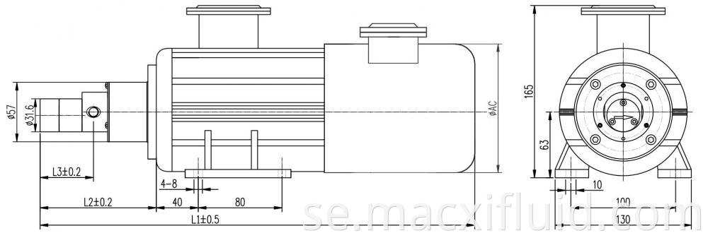 57 Variable Frequency Motor Micro Gear Pump